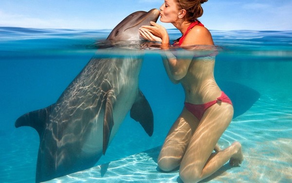 Bodrum Dolphin Tour
