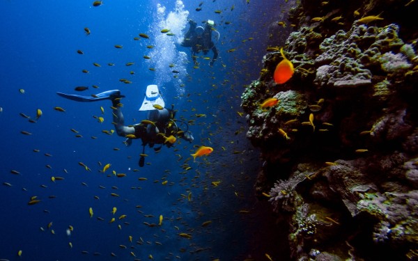 Scuba Diving Tour From Belek