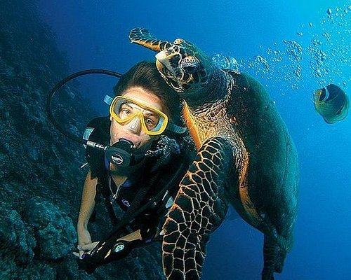 Bodrum Scuba Diving Tour