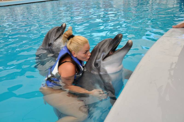 Dolphin Swimming From Manavgat (Side)