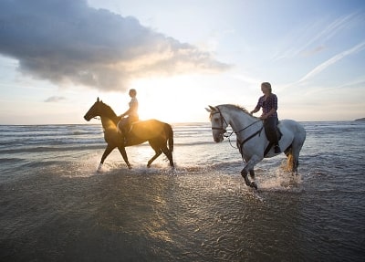 Horse Safari From Kemer